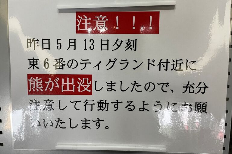 IMG-5998